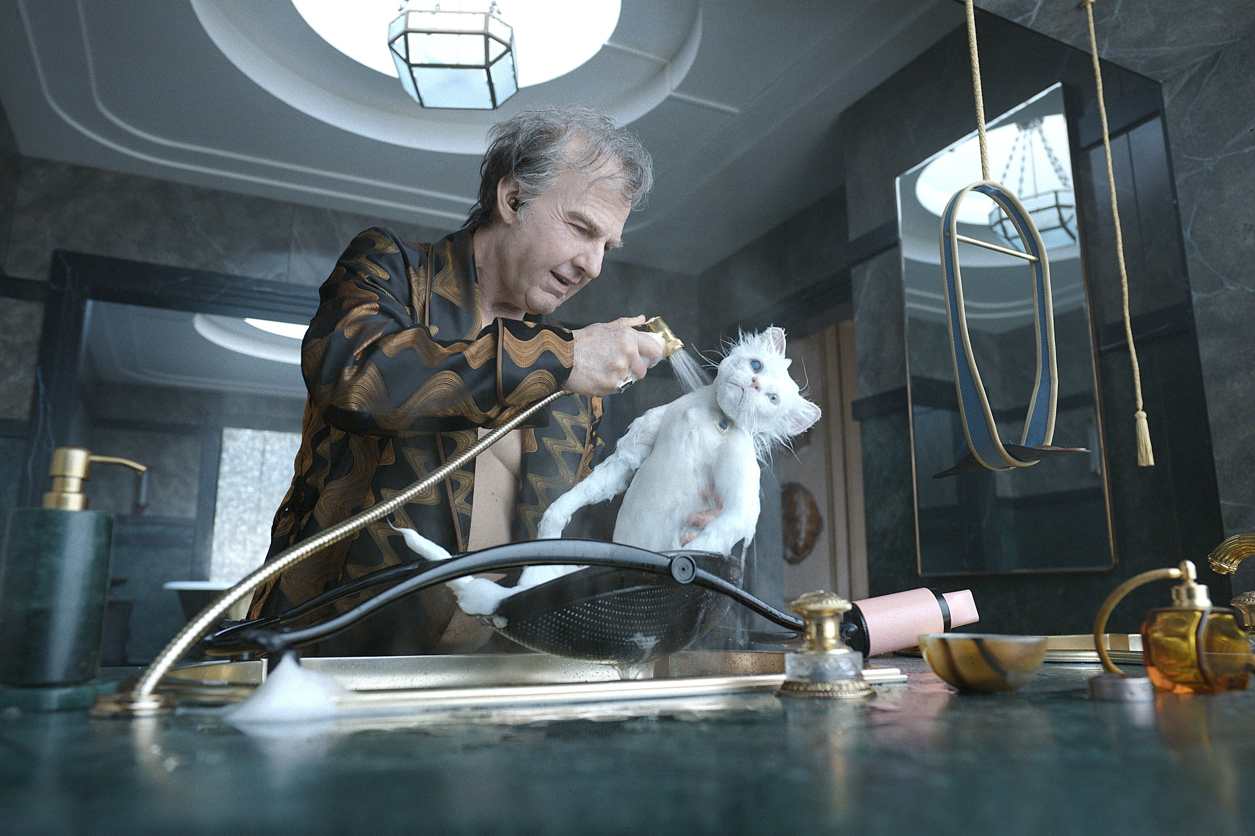 La gatta Maggie di 'Digger' spinge Tom Cruise verso l'Oscar