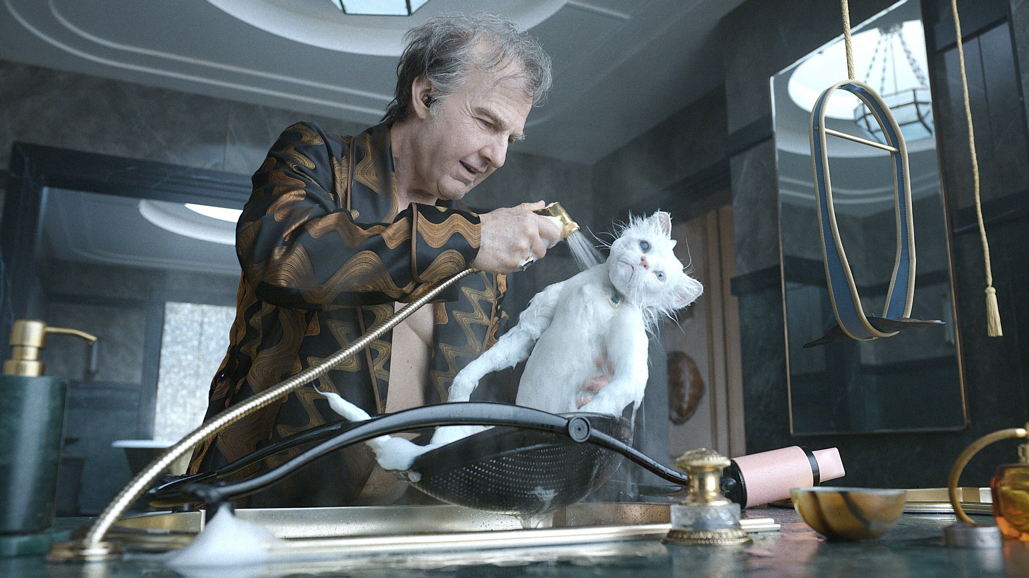 La gatta Maggie di 'Digger' spinge Tom Cruise verso l'Oscar