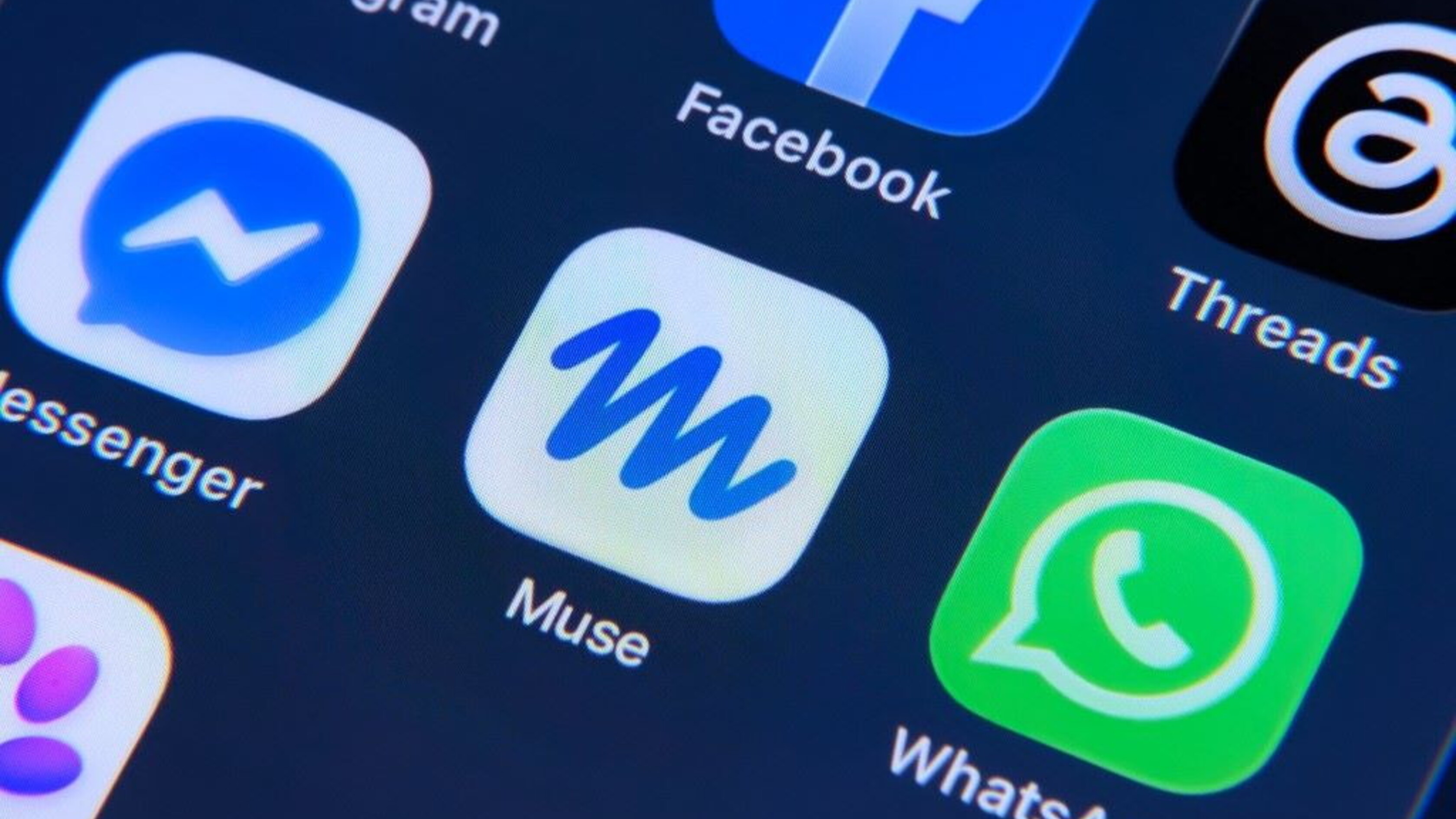 Il debutto precoce dei minori sui social, "una montagna di pericoli (anche) su WhatsApp"