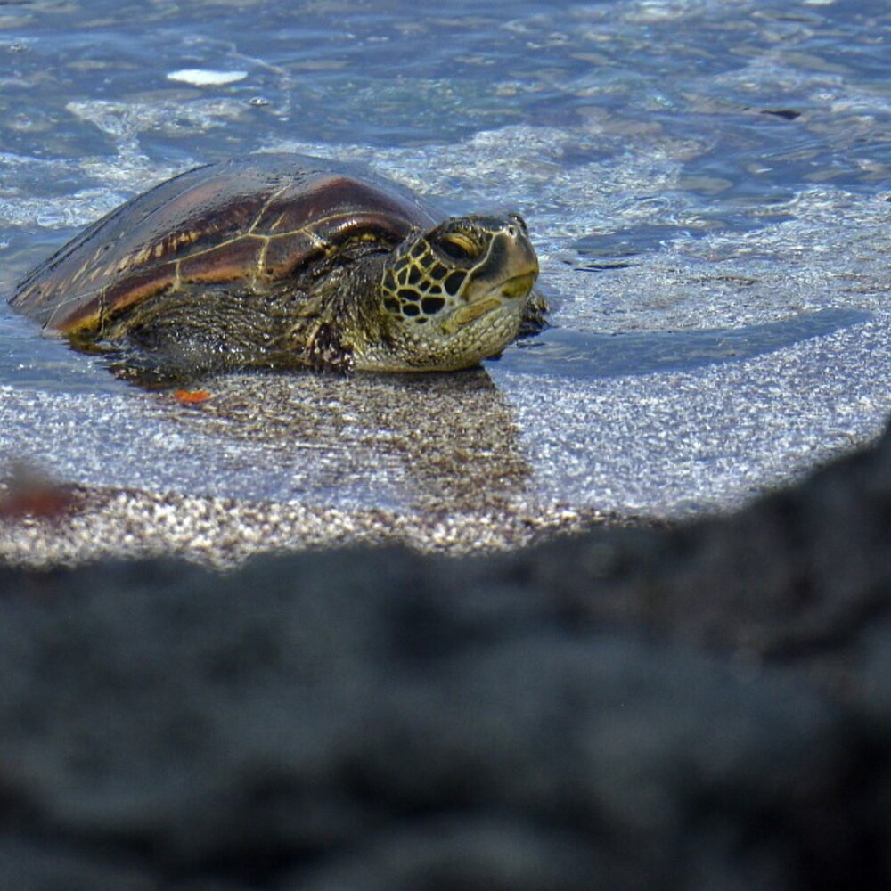 https://images.agi.it/pictures/agi/agi/2026/10/01/155043392-13f72583-6ea6-4b1e-ae64-99d03a99f666.jpg