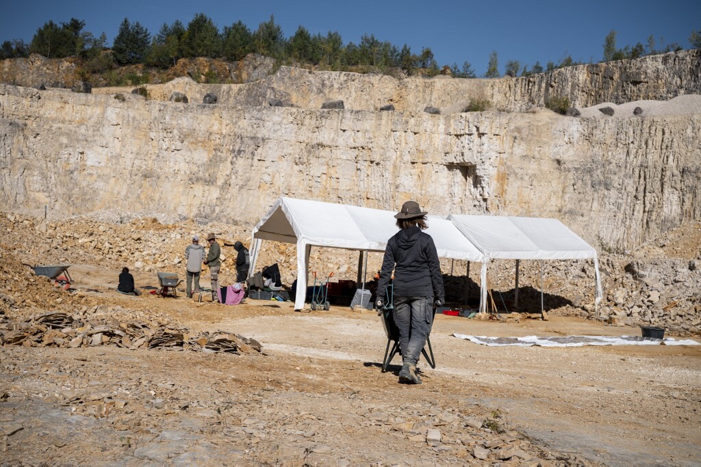 Gli animali potrebbero essere comparsi 200 milioni di anni prima del previsto