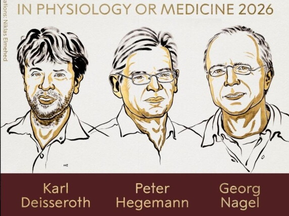 Nobel per la Medicina 2026 a Deisseroth, Hegemann e Nagel per gli studi sull'optogenetica