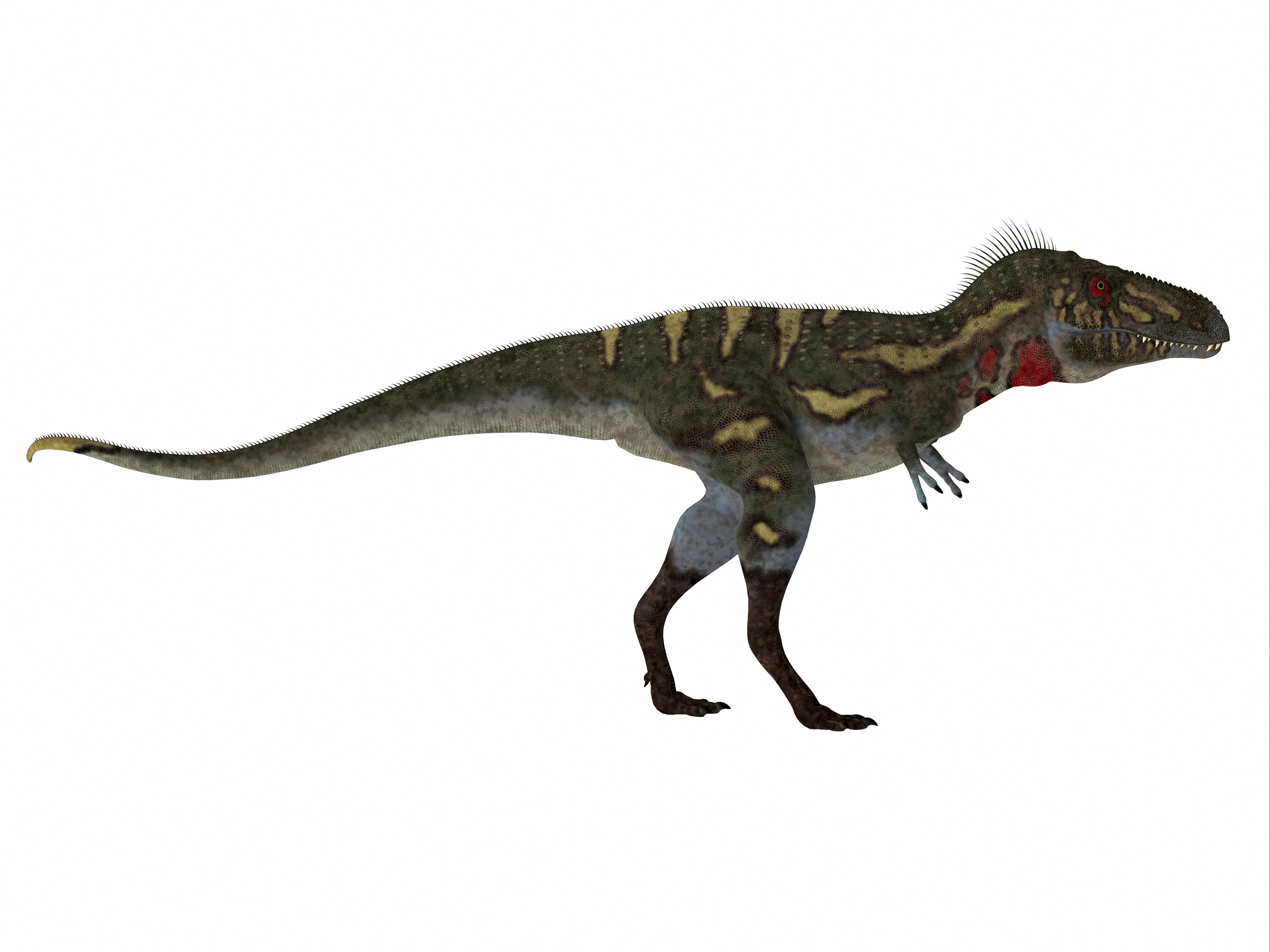 Va all'asta il dinosauro "Jodi", la stima tocca i 9 milioni di dollari