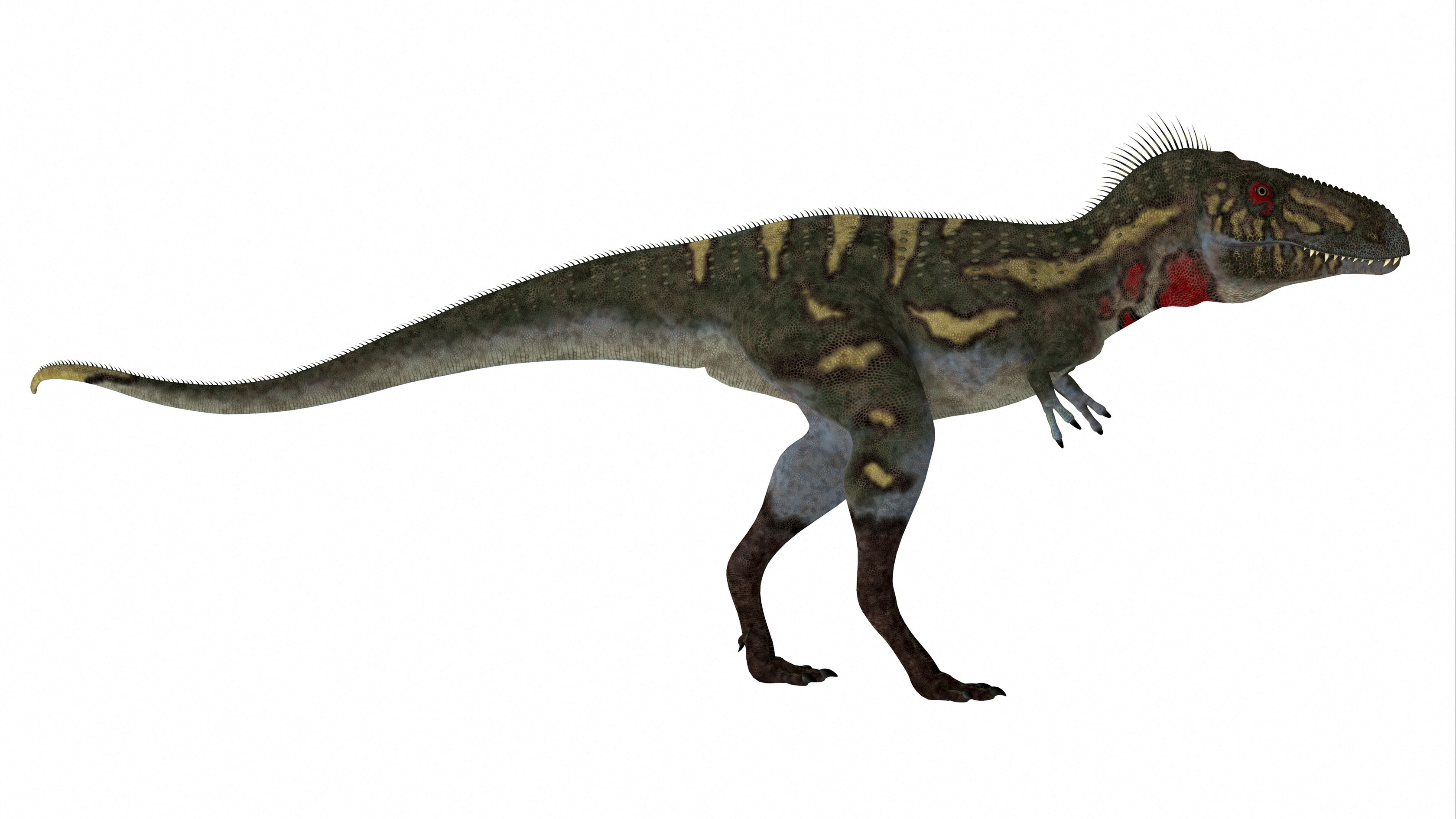 Va all'asta il dinosauro "Jodi", la stima tocca i 9 milioni di dollari