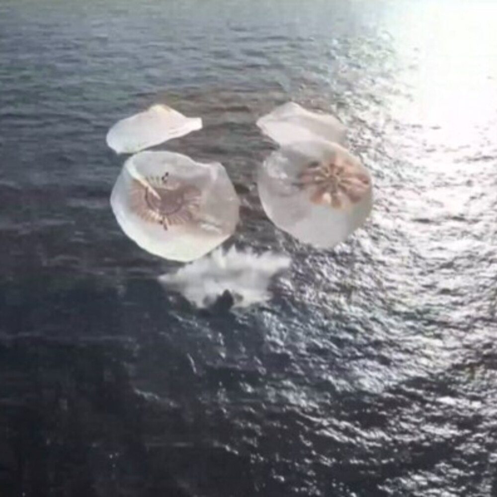 Anteprima: Dopo 237 giorni nello spazio la Crew Dragon della Nasa è tornata sulla Terra