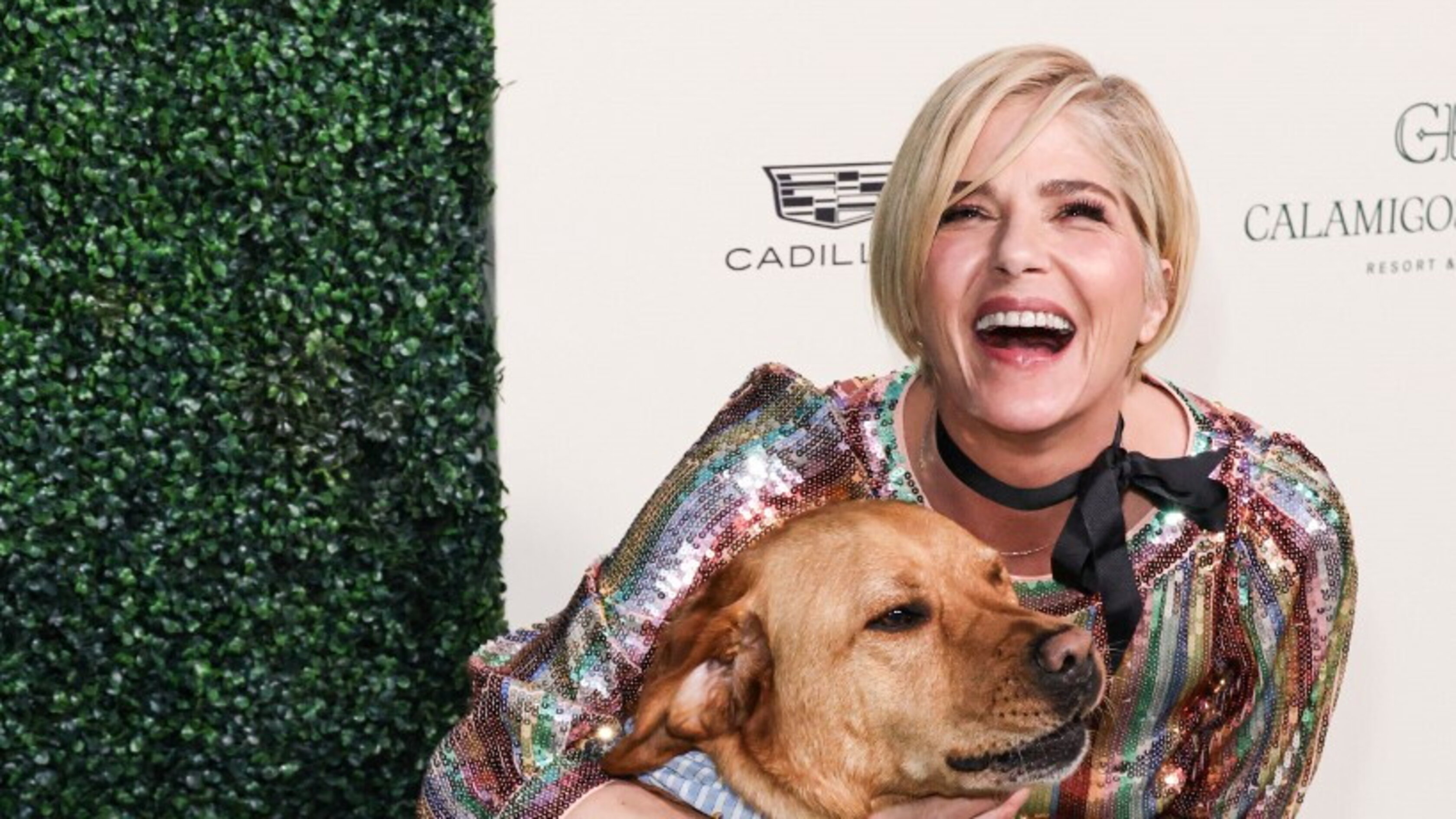 Aggressione e morsi al personale di bordo durante un volo, denunciata Selma Blair