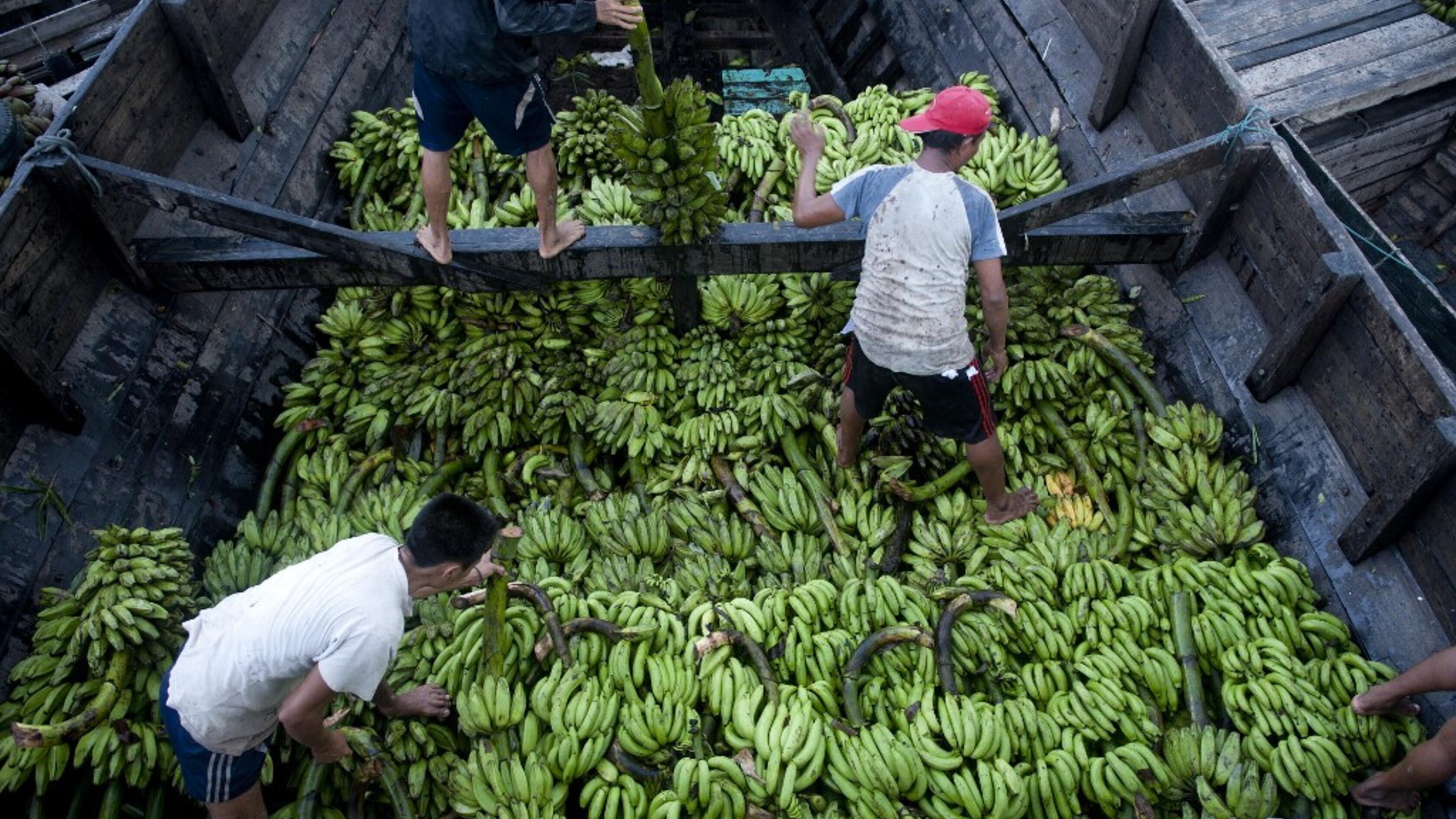 La guerra in Iran mette in crisi anche le banane