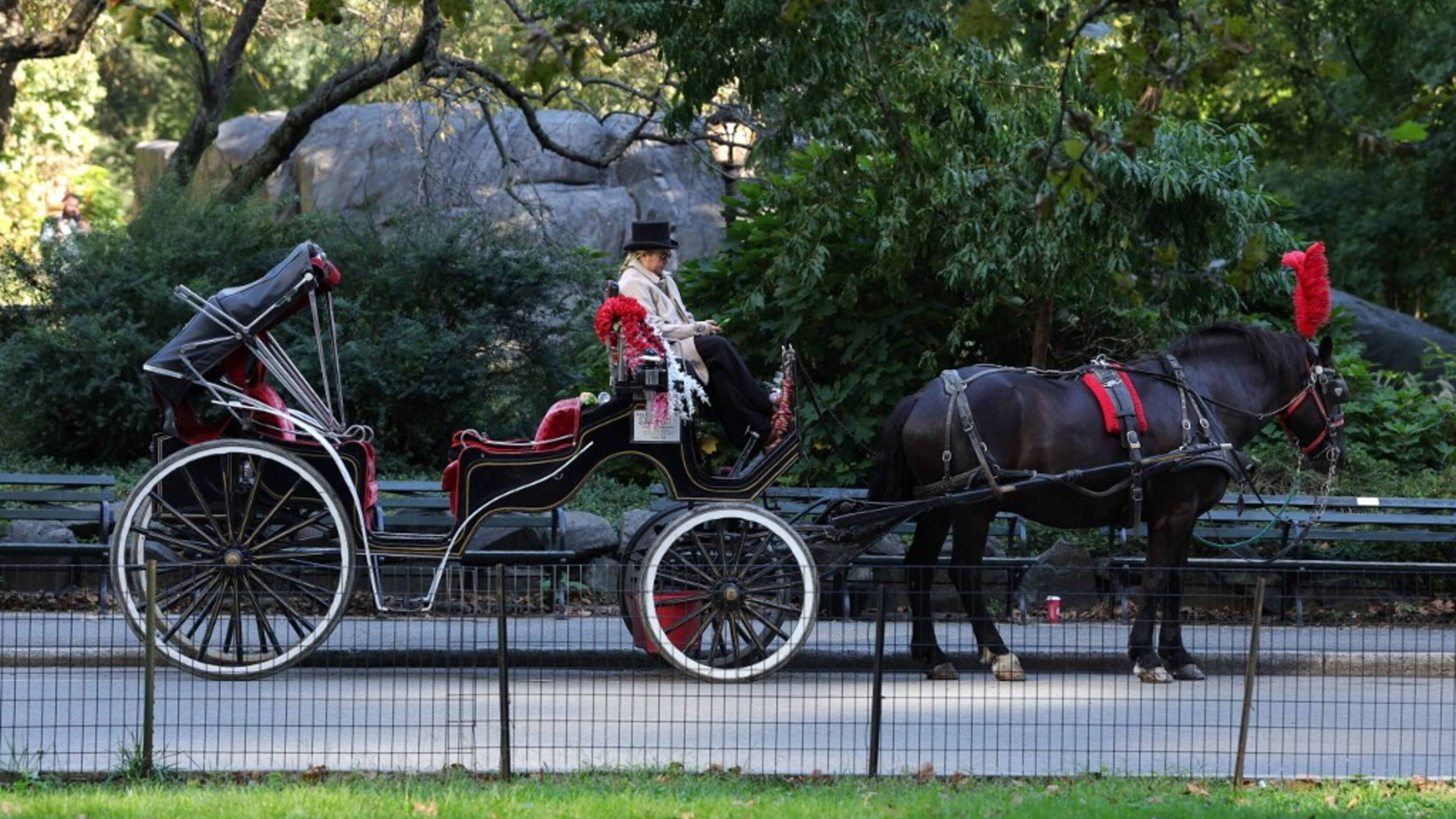 Addio alle carrozze di Central Park: New York approva il divieto