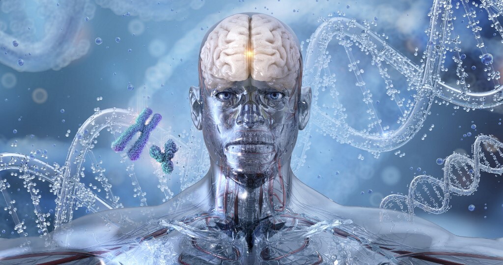 Il cervello organizza numeri e frazioni in una mappa