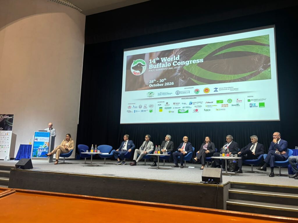 A Sorrento il World Buffalo Congress a Sorrento: il futuro della filiera bufalina tra digi...