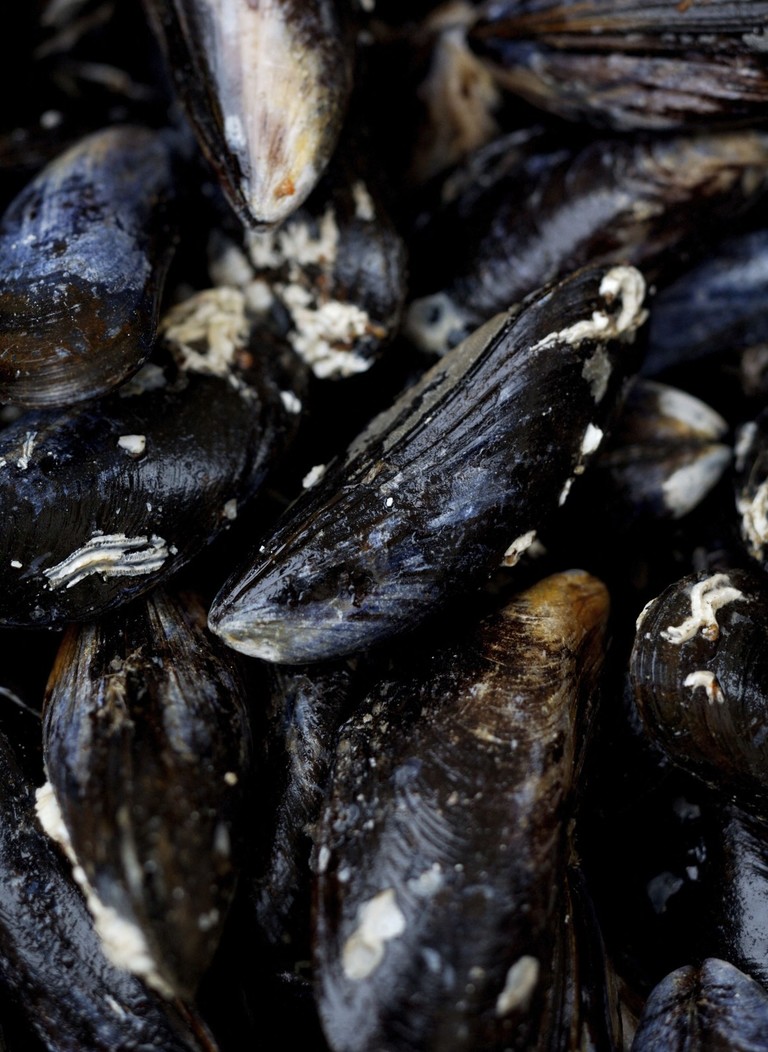 super colla cozze resistente acqua