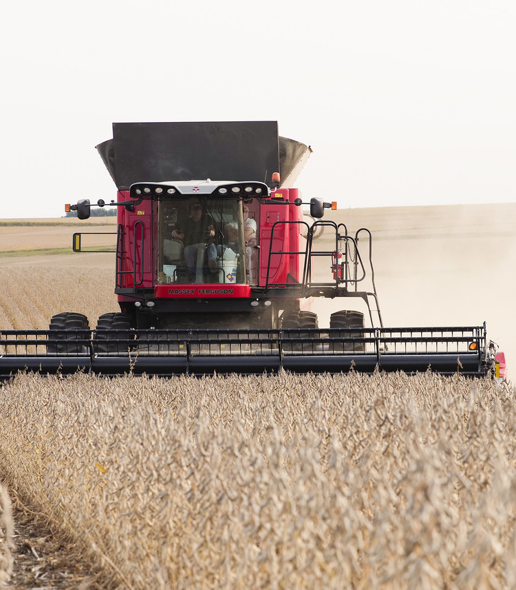 guerra ucraina potrebbe cambiare agricoltura italiana coldiretti