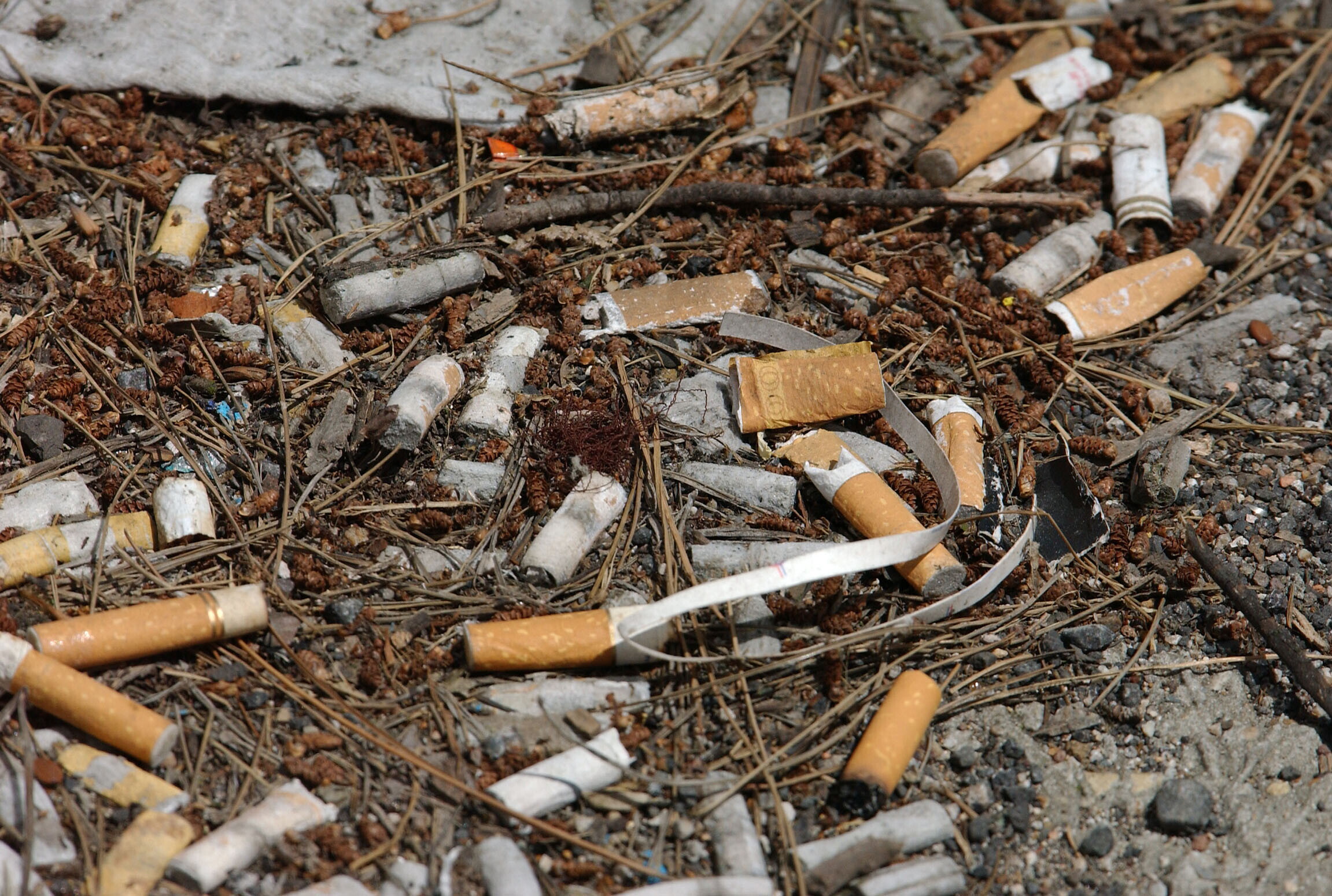 La nicotina è tossica per il cuore in tutte le sua forme