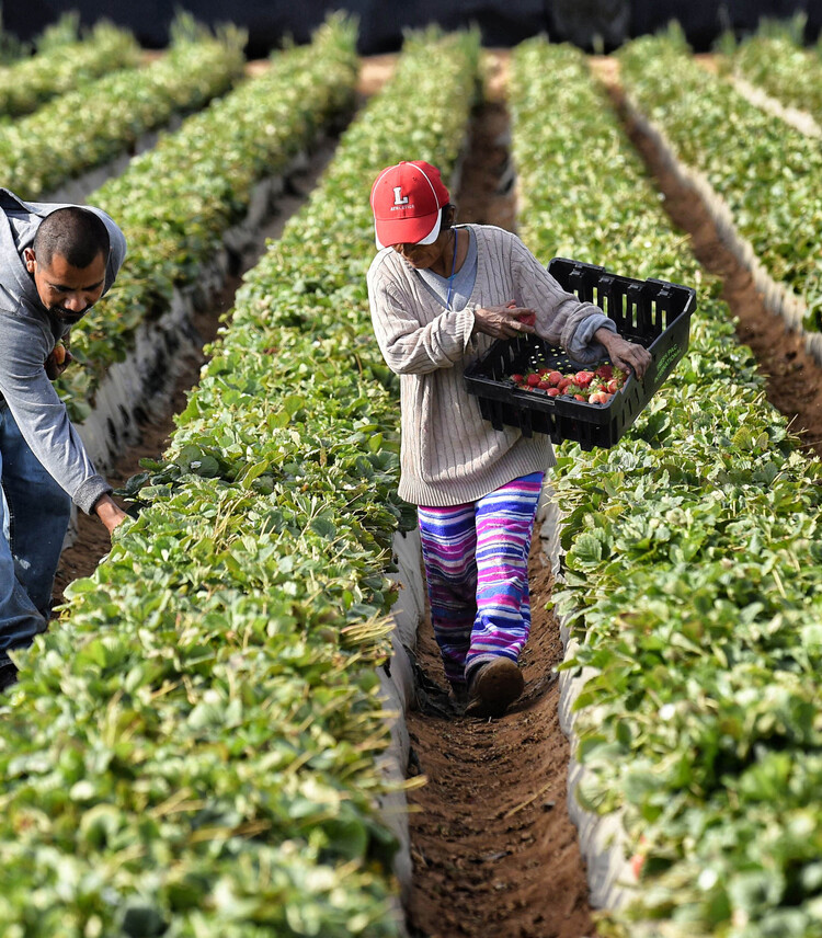 Braccio di ferro sul salario minimo. Meloni: ‘Uno slogan che rischia di creare problemi’